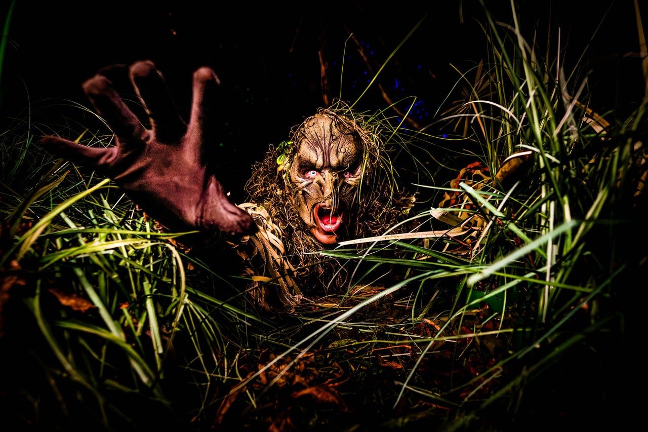 Never turn back in the Wicked Woods - Walkthrough - Halloween Fright Nights